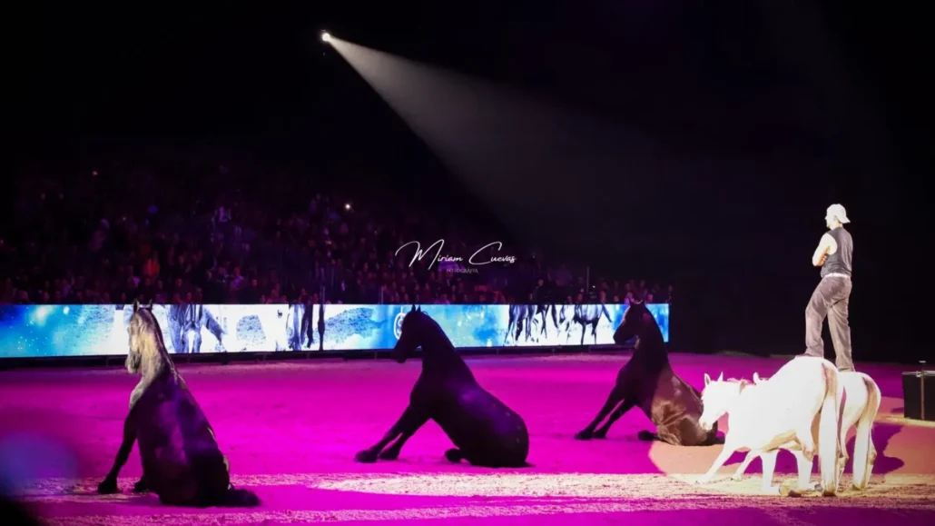 compiegne classic dimanche 12 avril spectacles equestres