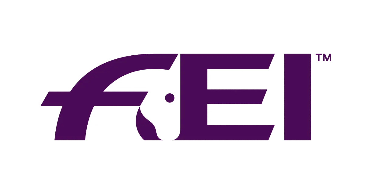 FEI logo 2025