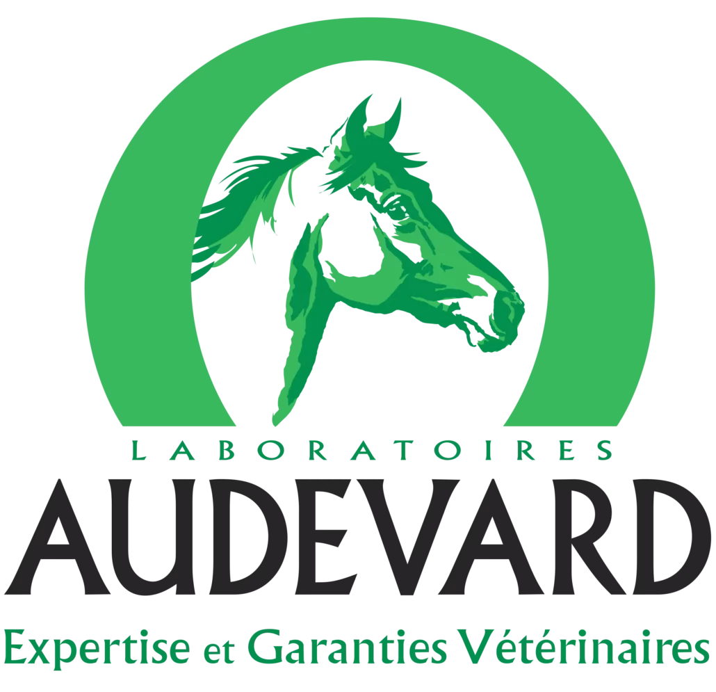 LOGO AUDEVARD 2025