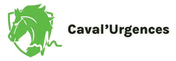 LOGO CAVAL URGENCES 2025