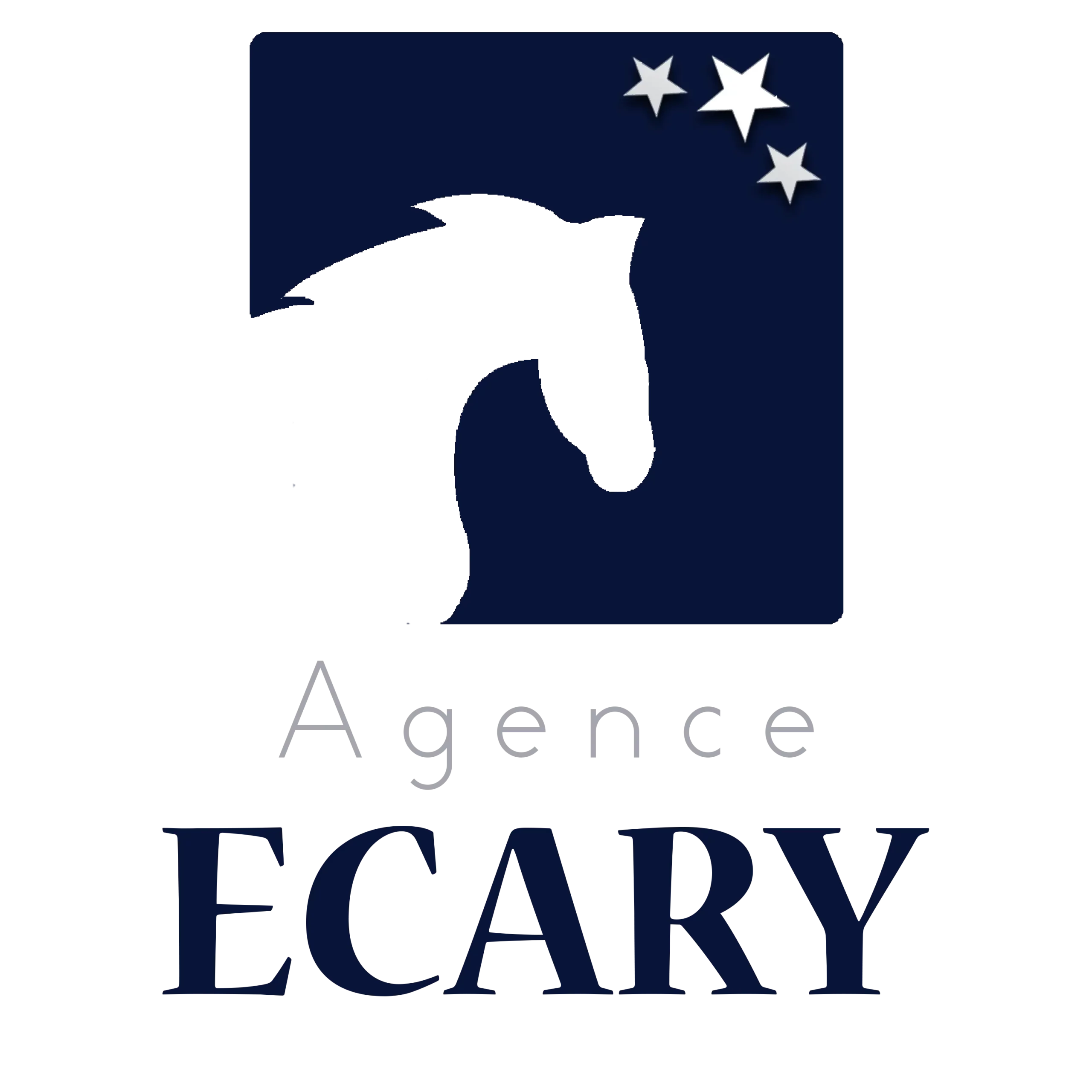 LOGO AGENCE ECARY 2025