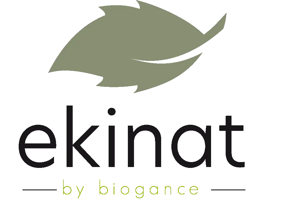 LOGO EKINAT 2025