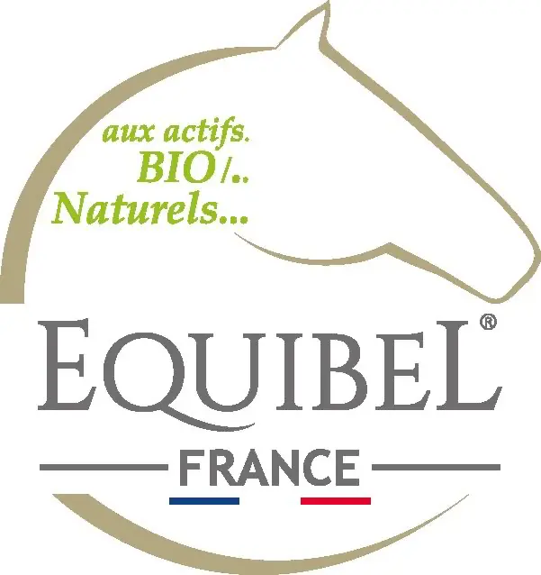 LOGO EQUIBEL 2025