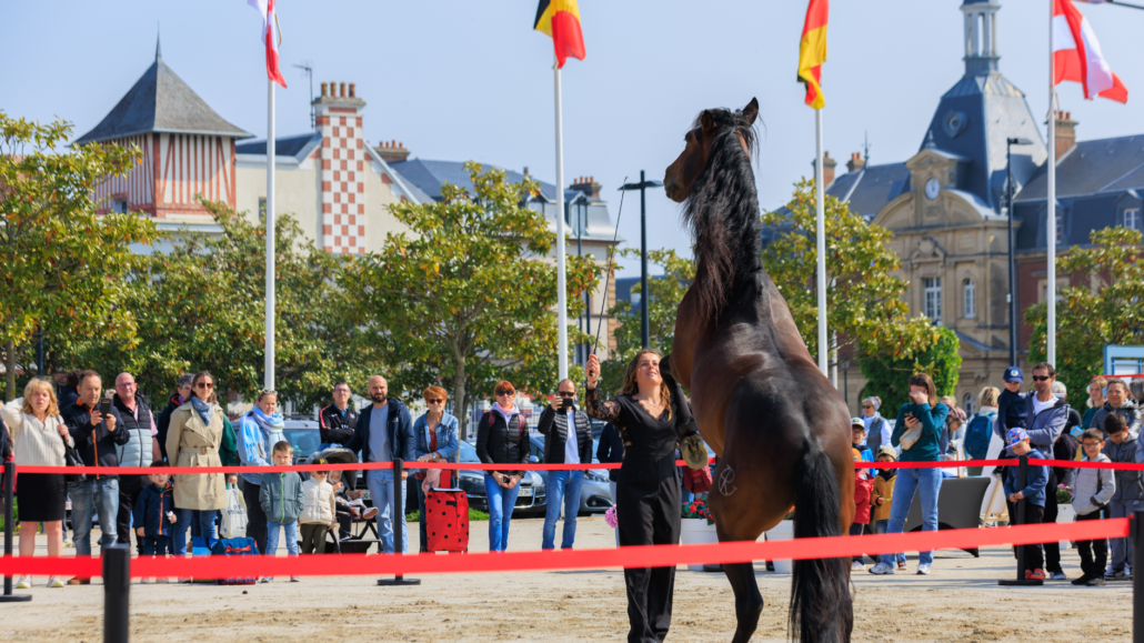 CSI Cabourg news 7