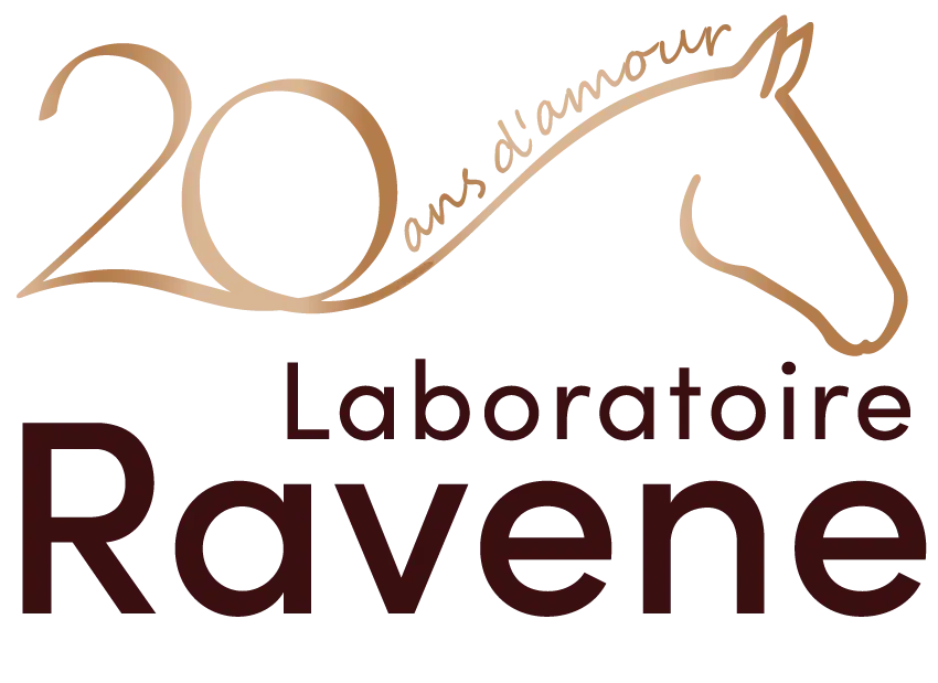 LOGO RAVENE 2026