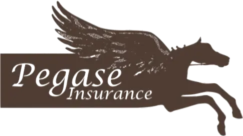 LOGO PEGASE INSURANCE 2026