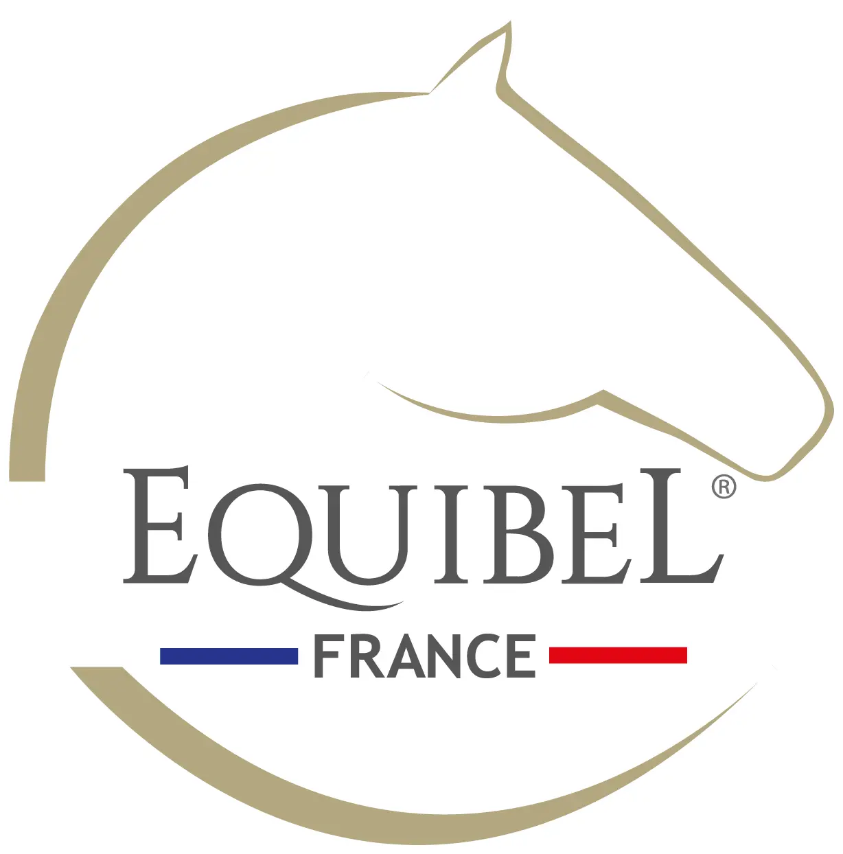 LOGO EQUIBEL 2026